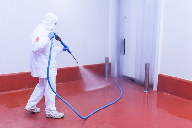 Best Dumpster Area Cleaning  in Horn Lake, MS