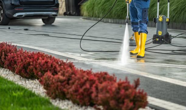 Best Gutter Cleaning  in Horn Lake, MS